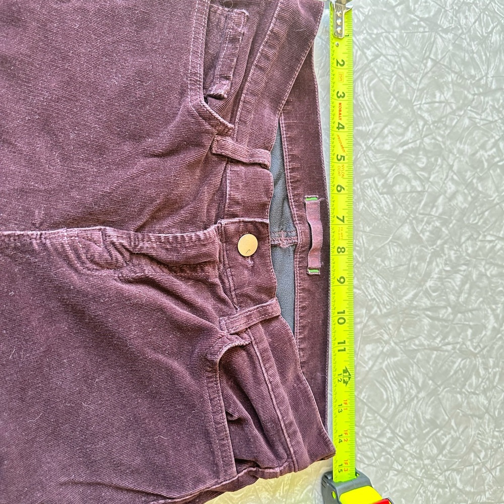 J Brand Women's Skinny Pants in Purple